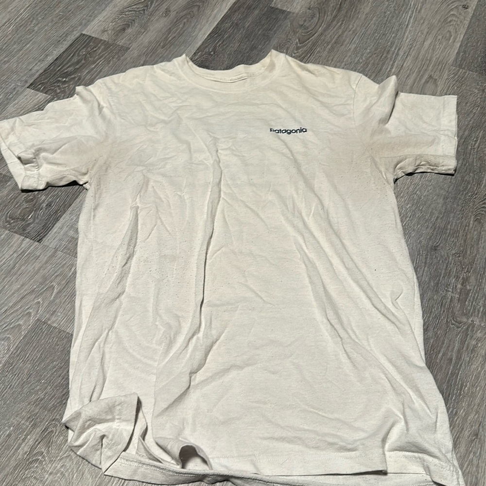 patagonia tshirt